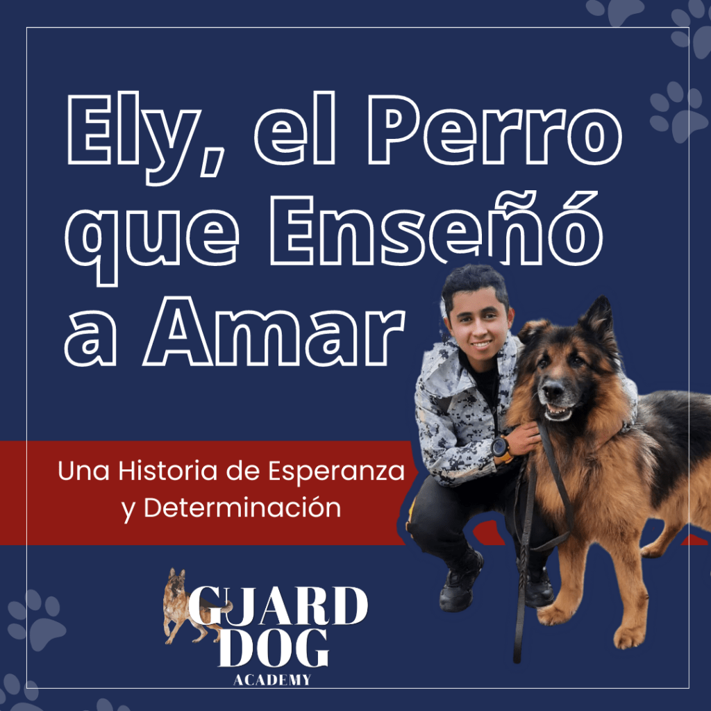 Ely, el Perro que Enseñó a&nbsp;Amar