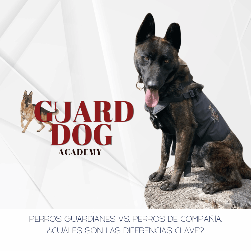 Perros guardianes vs. perros de compañía: ¿Cuáles son las diferencias&nbsp;clave?