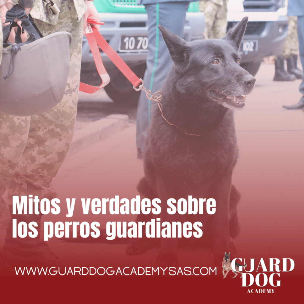 Mitos y verdades sobre los perros&nbsp;guardianes