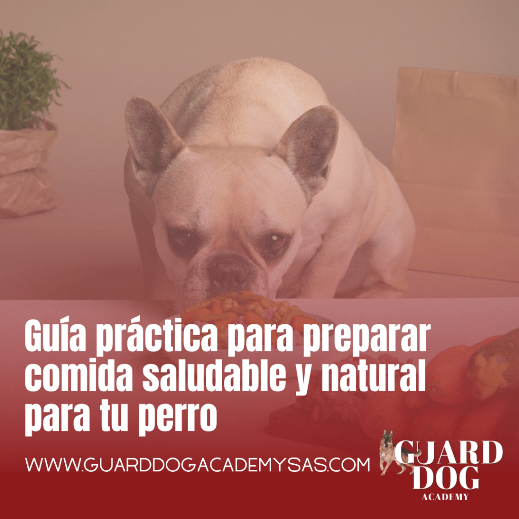 Guía práctica para preparar comida saludable y natural para tu&nbsp;perro