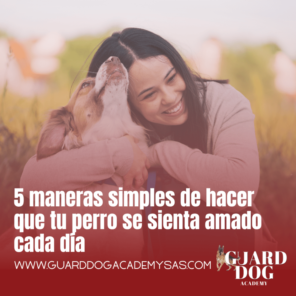 5 maneras simples de hacer que tu perro se sienta amado cada&nbsp;día