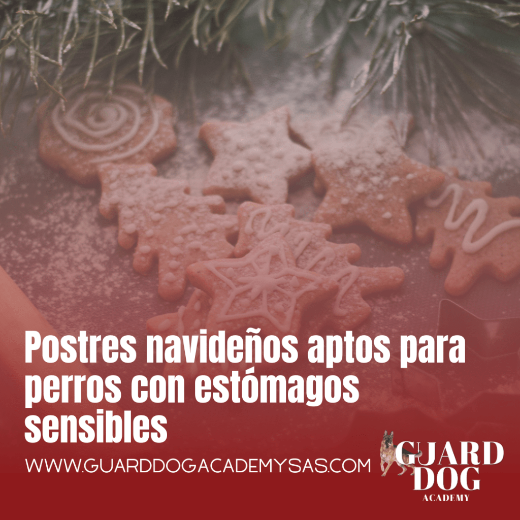 Postres navideños aptos para perros con estómagos sensibles
