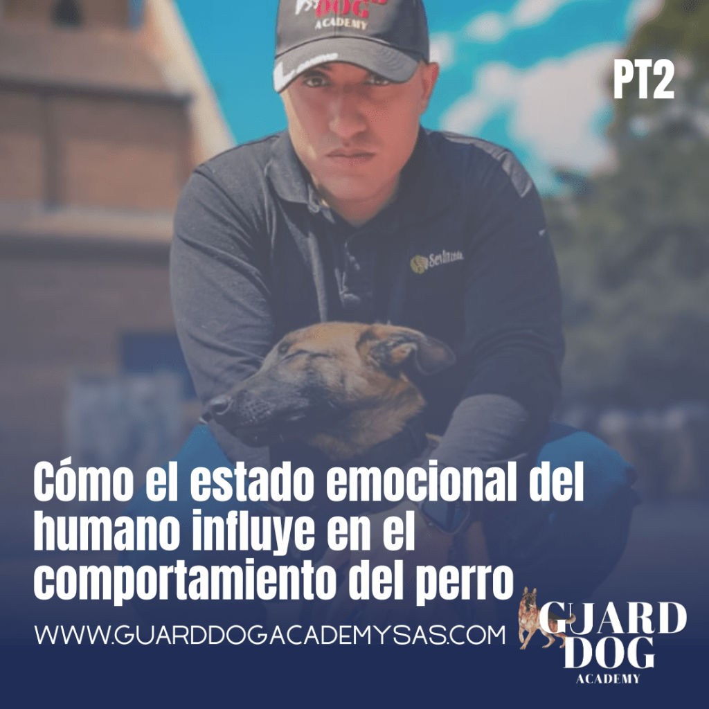 Cómo el estado emocional del humano influye en el comportamiento del perro