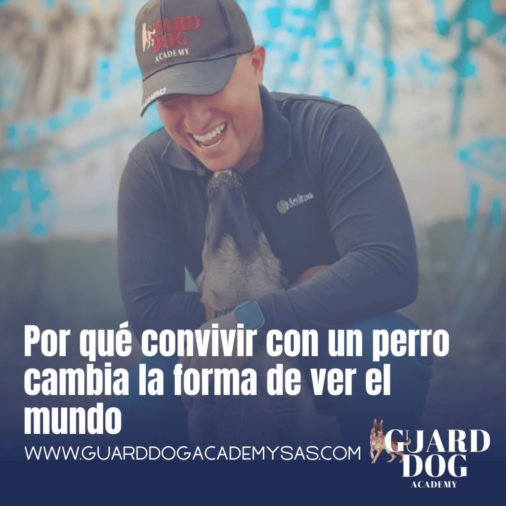 Por qué convivir con un perro cambia la forma de ver el&nbsp;mundo